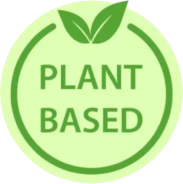vegan-options.webp